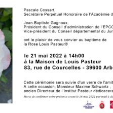 rose louis Pasteur 2022